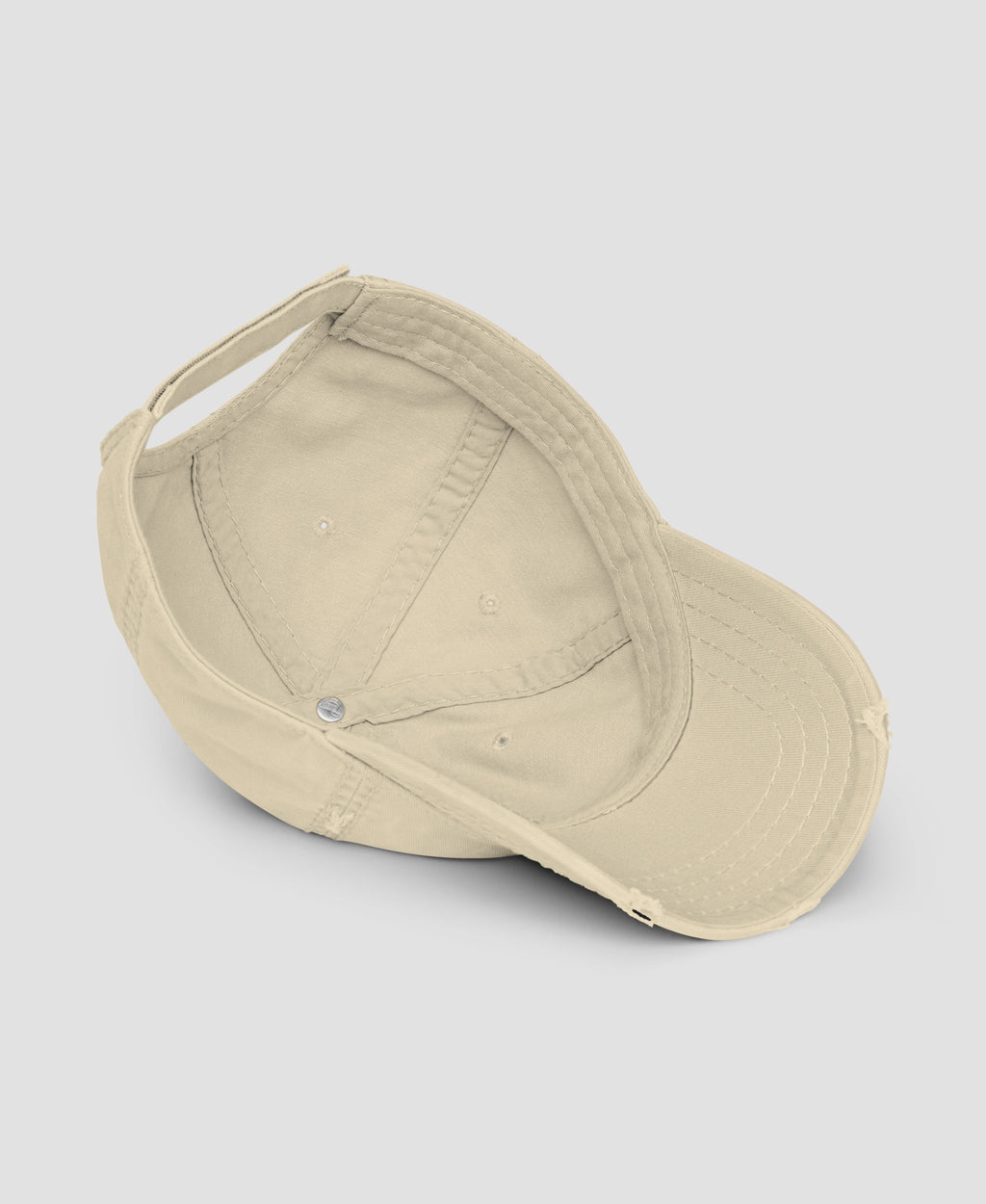 Vintage Lemon Meal Plan Typography Embroidered Distressed Dad Hat